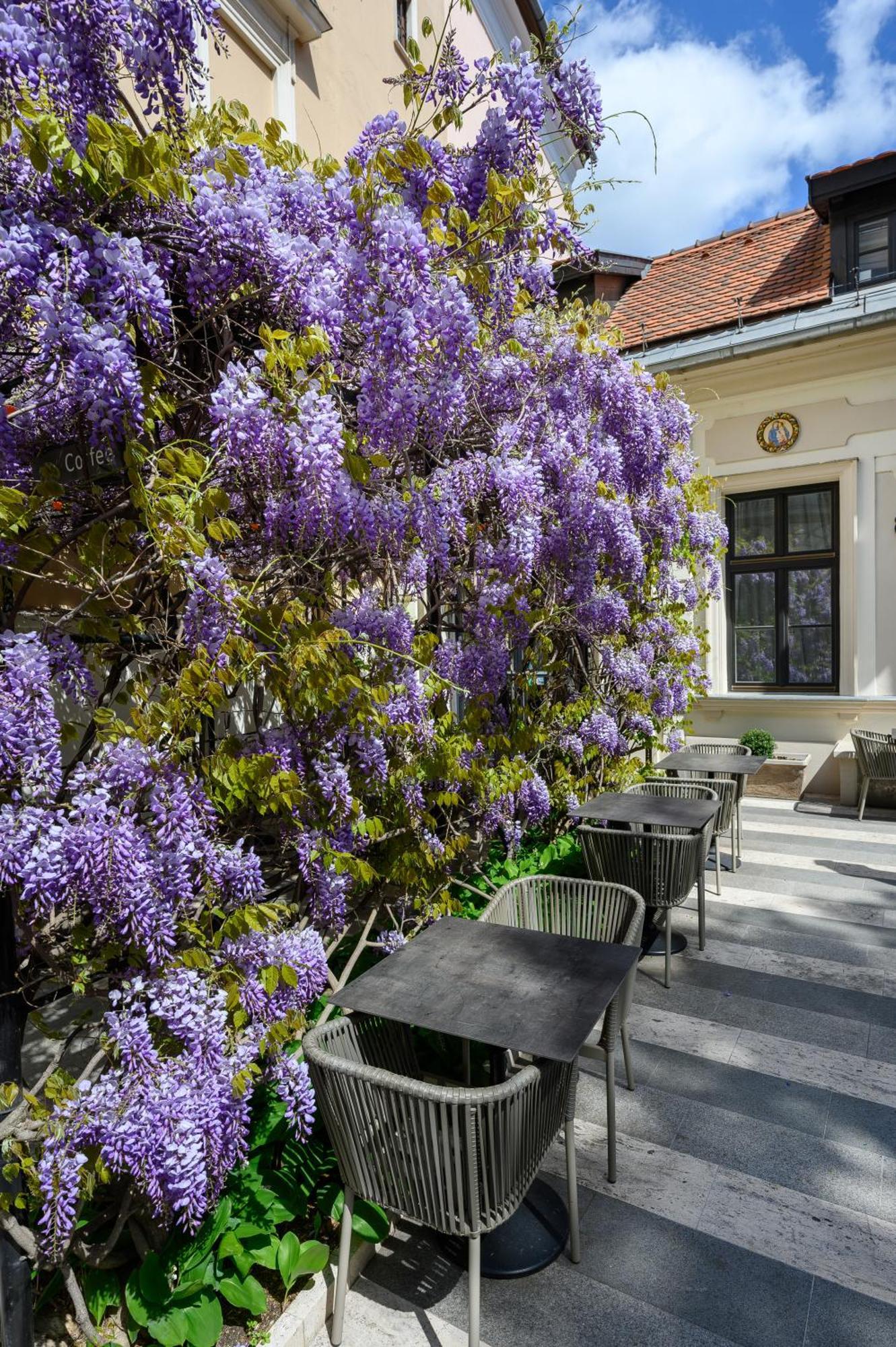 Maison Bistro & Hotel Budapešť Exteriér fotografie