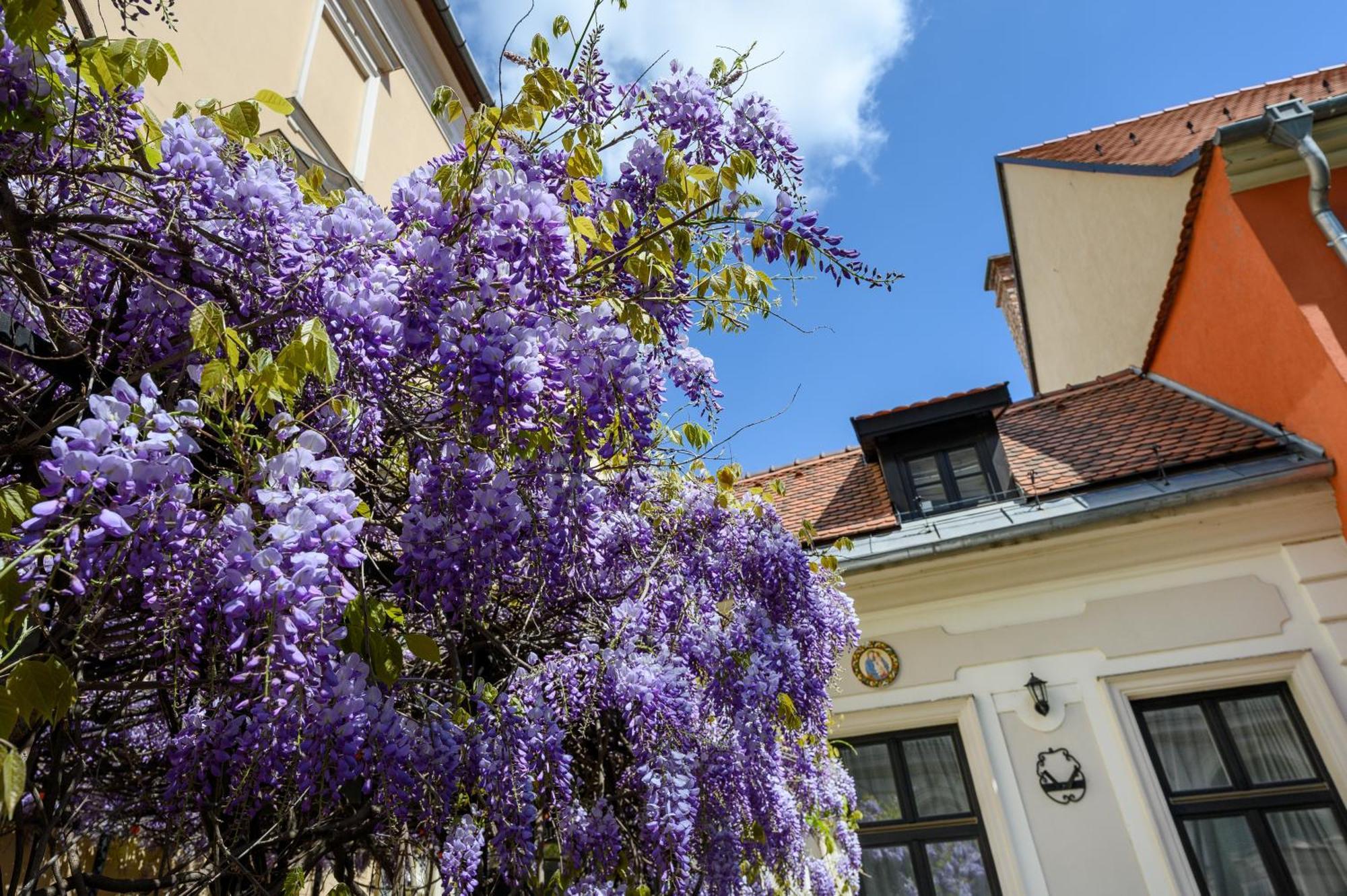 Maison Bistro & Hotel Budapešť Exteriér fotografie